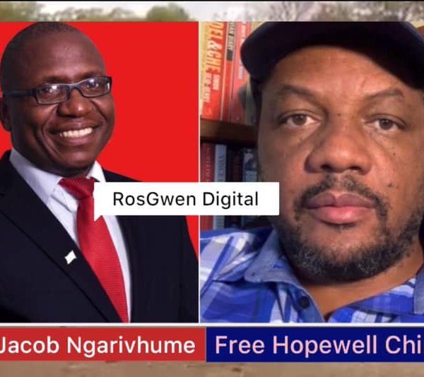 Transform Zimbabwe leader Jacob Ngarivhume (left) and journalist Hopewell Chin’ono (right)