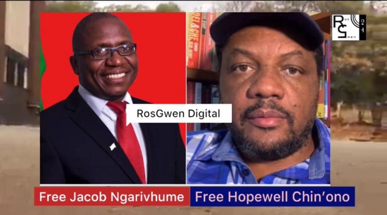 Transform Zimbabwe leader Jacob Ngarivhume (left) and journalist Hopewell Chin’ono (right)