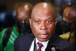 Home 5 Herman Mashaba