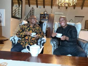 Home 8 Jacob Zuma and Malema
