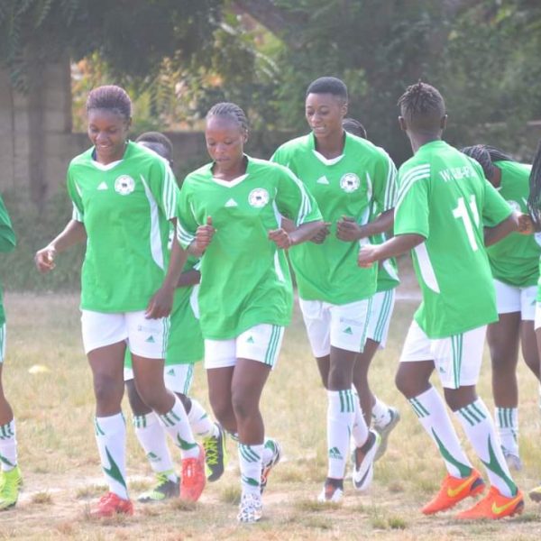 Green Buffaloes