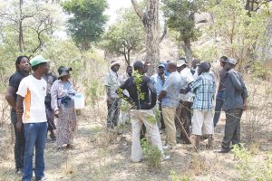 Binga residents face relocation