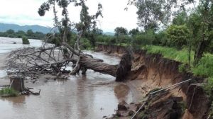 Home 8 Cyclone Ana