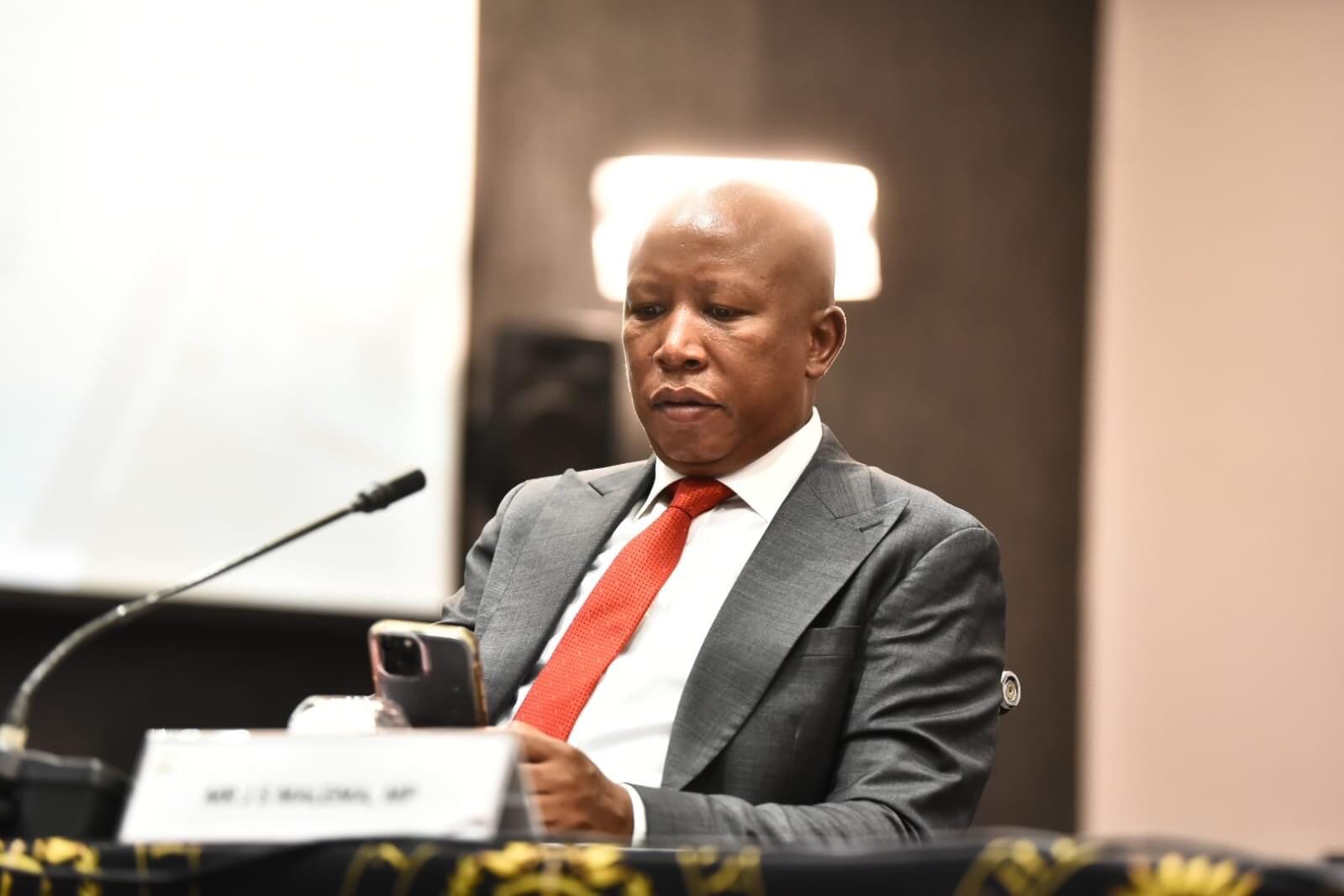 Freedom Under Law calls for Julius Malema (pictured) and Advocate Dali Mpofu to step down from JSC panel