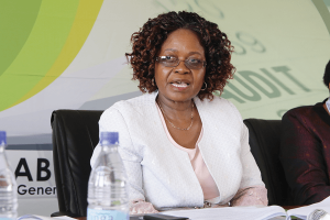 Auditor General exposes incessant corruption in Zimbabwe