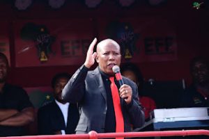 Economic Freedom Fighters (EFF) leader Julius Malema