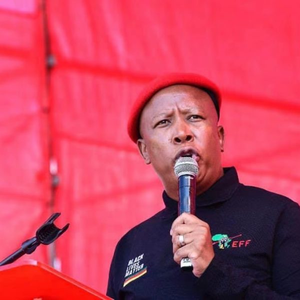 Malema tells Zimbabweans to go back home and remove Mnangagwa