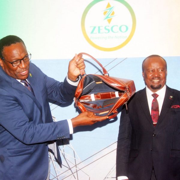 Zesco increases power export to Namibia