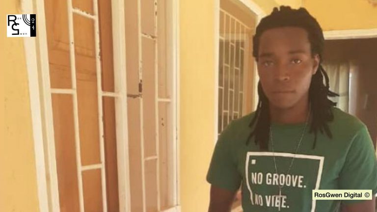 Zimbabwean artist Cannah D takes voter registration campaign to diaspora