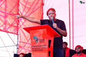 Malema castigates Zondo for the 'racially' influenced state capture report