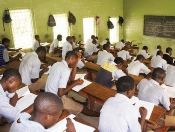 Home 143 Zimsec exam fees