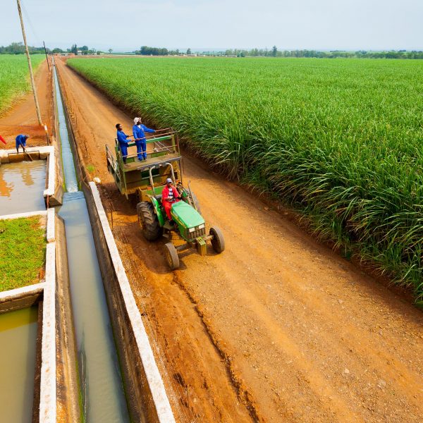 Tongaat Hulett suspends advance payments to cane farmers