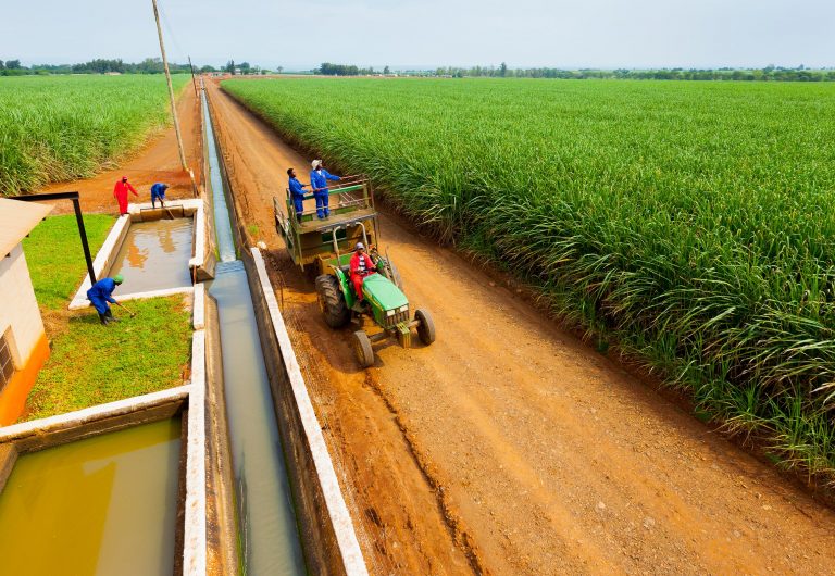 Tongaat Hulett sugarcane farms
