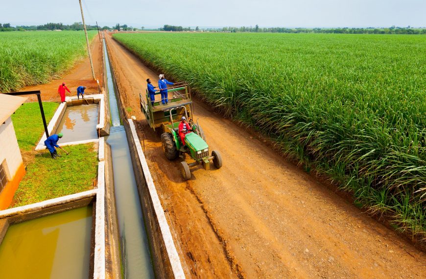 Tongaat Hulett sugarcane farms