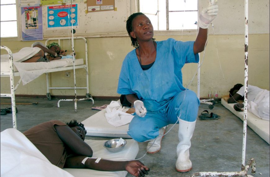 Zimbabwe health system