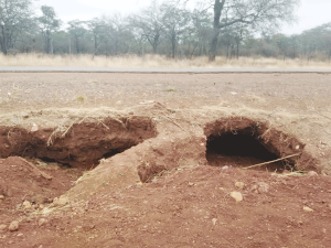 Gumtree Mining has been accused of causing polution in Epworth, Harare