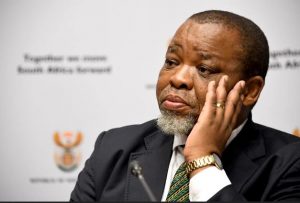 Mineral Resources and Energy Minister Gwede Mantashe wants cheap Russia crude oil