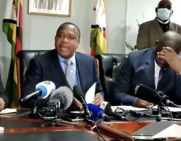 Mthuli Ncube introduces fictitious measures to maintain market stability