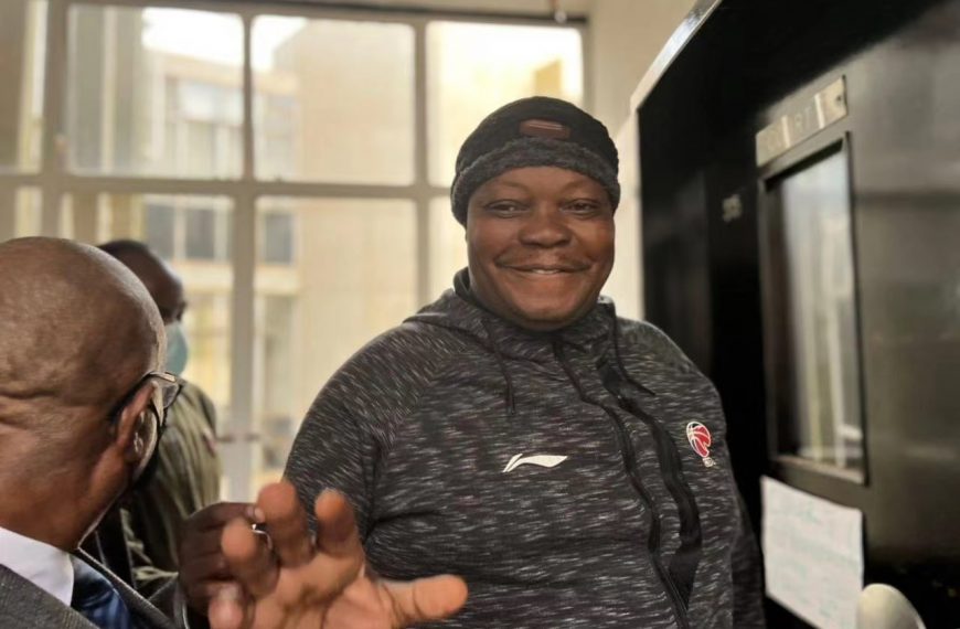 Job Sikhala faces new charges for allegedly misleading police about Moreblessing Ali