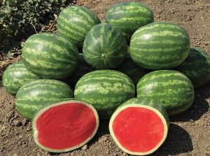 Property developers in China accepting farm produce as payment to buy home