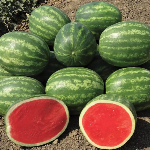 Property developers in China accepting farm produce as payment to buy home