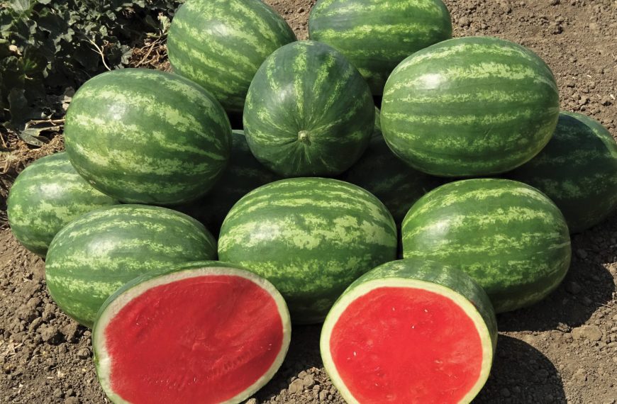Home 121 Property developers in China accepting farm produce as payment to buy home