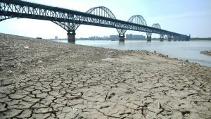 Home 8 Drought hits half of China in worst heatwave record