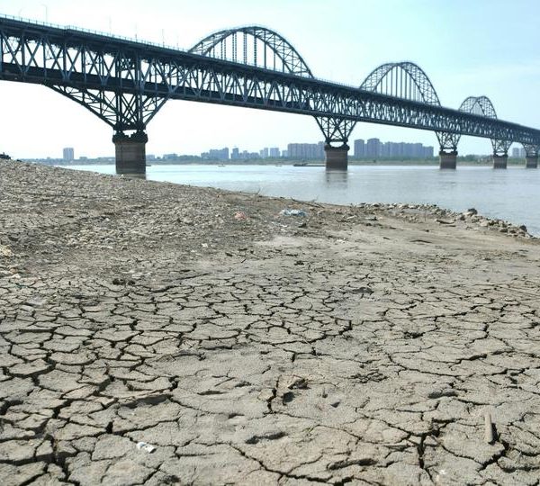 Drought hits half of China in worst heatwave record
