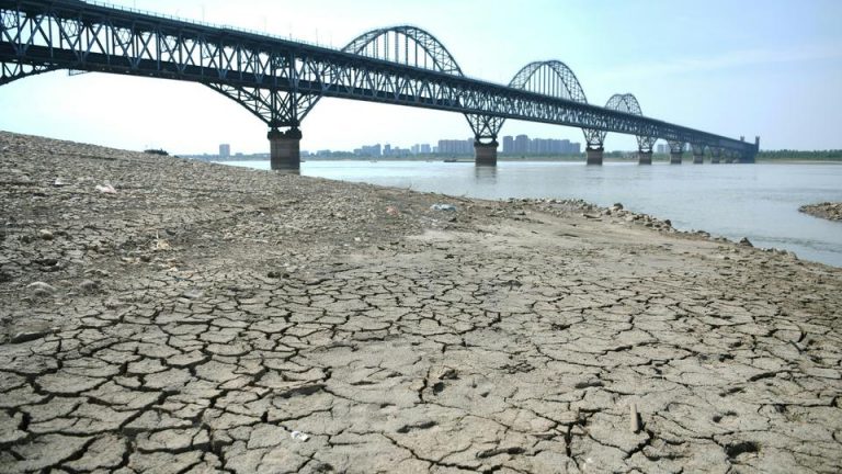 Drought hits half of China in worst heatwave record