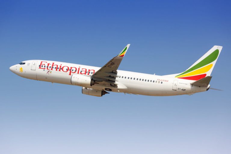 Ethiopian Airlines suspends 'fatigued' pilots who fell asleep flying plane