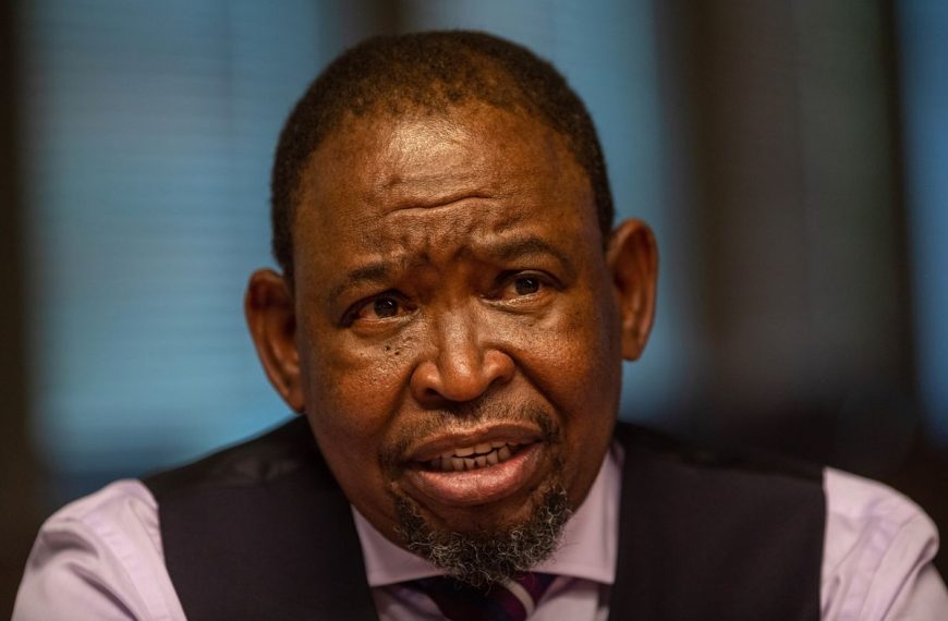 Finance minister Godongwana denies sexual assault allegations