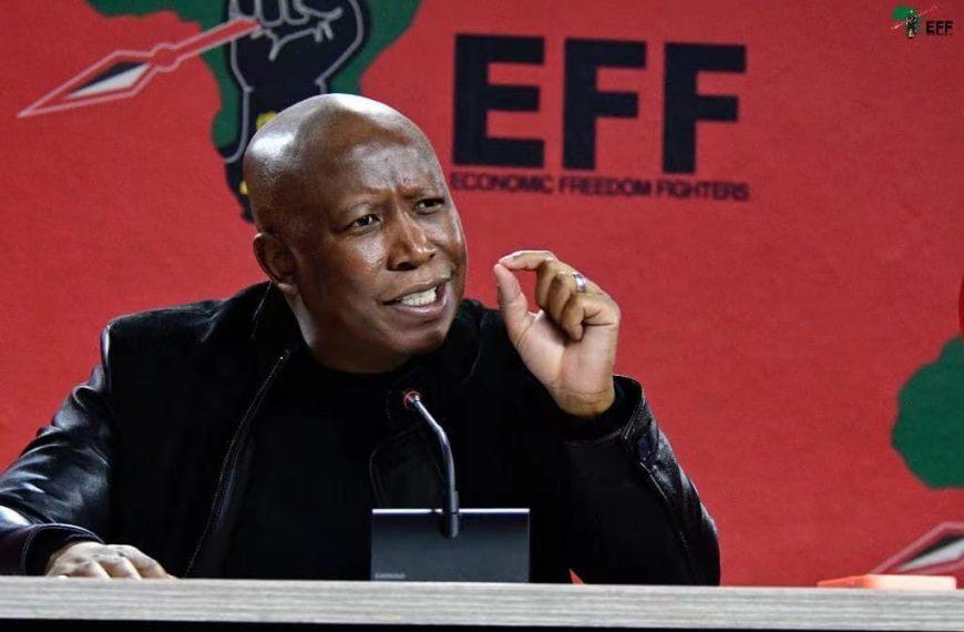 Home 133 Malema calls on Enoch Godongwana to resign