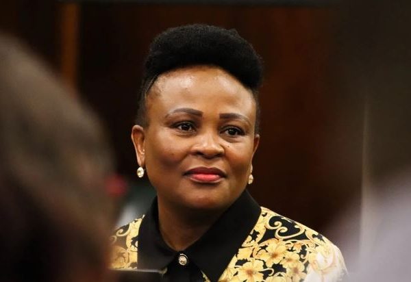 Inquiry chair Richard Dyantyi downplays bias against Busisiwe Mkhwebane