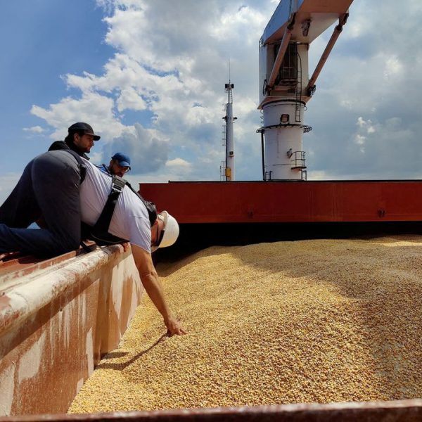 Home 20 Ukraine first grain cargo ship arrives in Turkey raising hopes of better fortunes