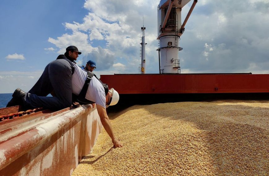 Ukraine first grain cargo ship arrives in Turkey raising hopes of better fortunes