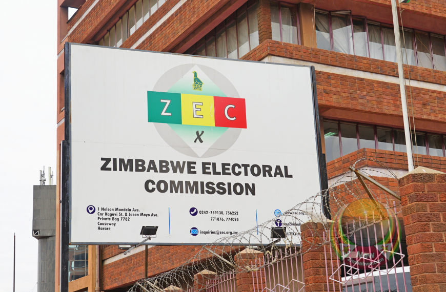 Home 119 ZEC told to withdraw unreasonable nomination fees