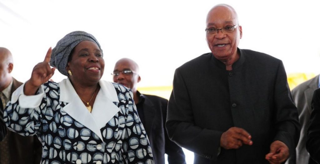 A file photo of ANC former president Jacob Zuma and Dr. Nkosazana Dlamini-Zuma.