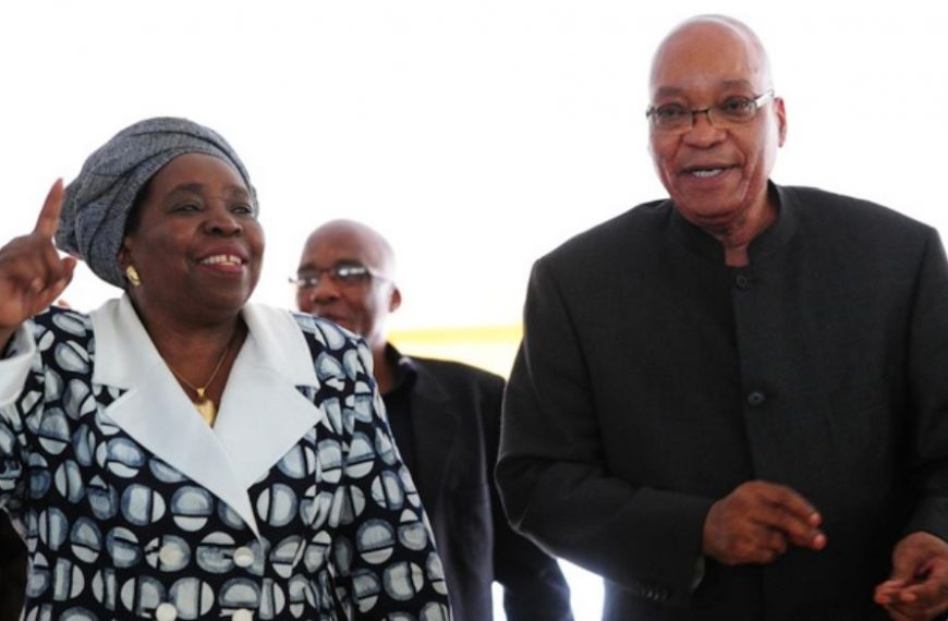 A file photo of ANC former president Jacob Zuma and Dr. Nkosazana Dlamini-Zuma.