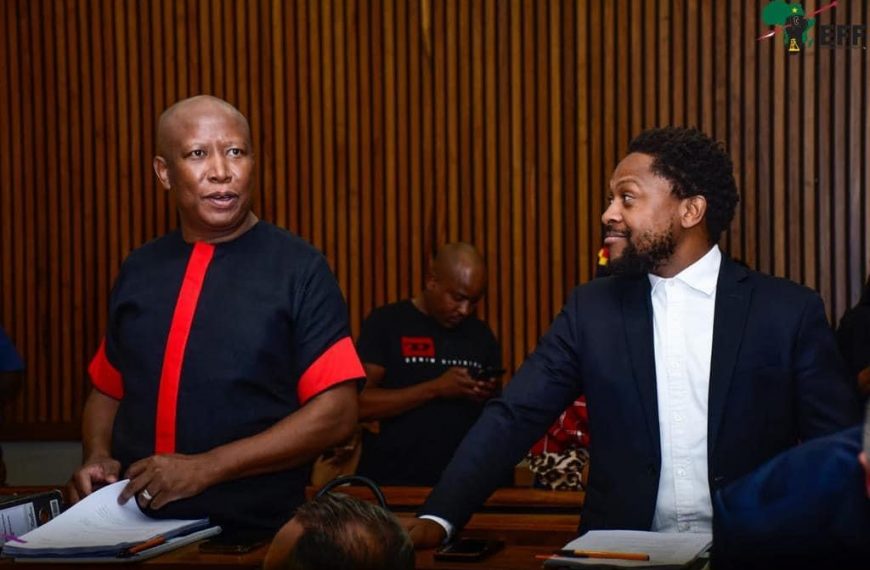 EFF CIC Julius Malema and Head of Political Education Dr Mbuyiseni Ndlozi and the Officials of the EFF at the Randburg Magistrates Court.