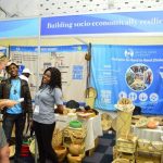 A tourist visiting an exhibition stand at the Sanganai/Hlanganani World Tourism Expo in Zimbabwe.