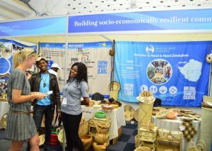 A tourist visiting an exhibition stand at the Sanganai/Hlanganani World Tourism Expo in Zimbabwe.