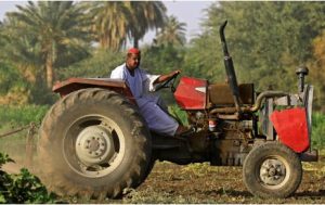 A man drives a tractor ploughing earth at a plot along the east Bank bank of the Nile river in the city of al-Jili, about 50 kilometres north of Sudan's capital Khartoum.