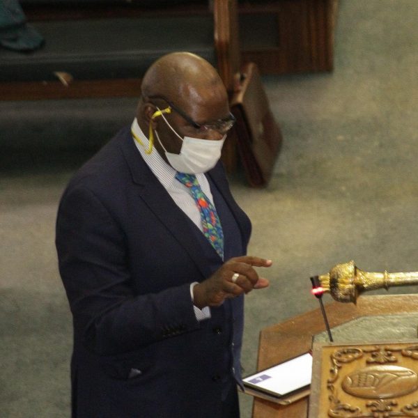 Home 136 Biti blasts govt for illegal parcelling of mining claims