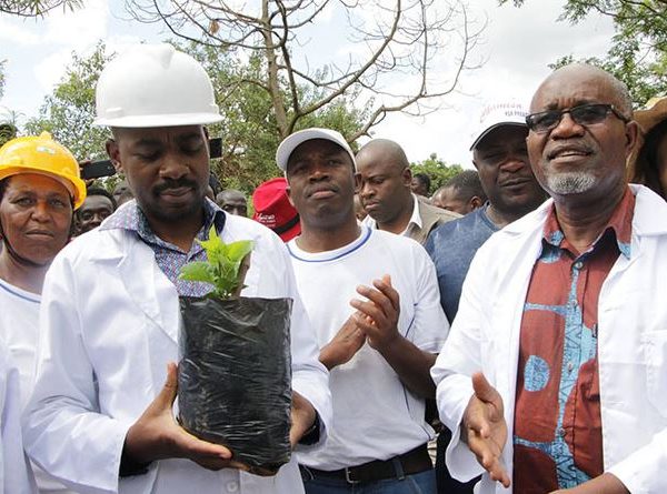 Police stop CCC leader Chamisa from planting trees