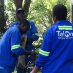 A file photo of TelOne engineers at work.