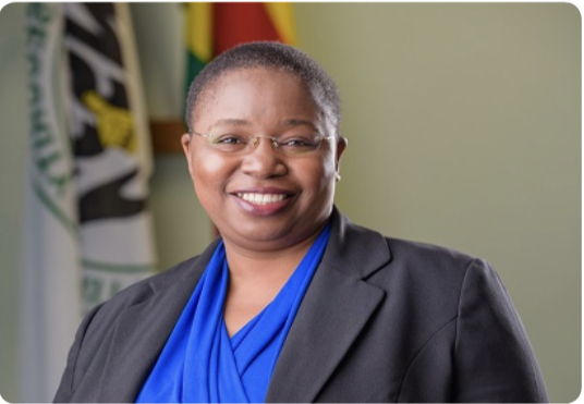 National Social Security Authority (NSSA) has named Agnes Masiiwa as the next interim general manager