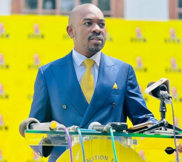 Chamisa vows to stop rigging machine of ZANU PF with secret tactics