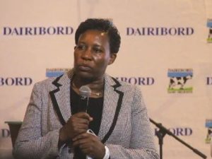 Dairibord Holdings Limited group chief executive officer Mercy Ndoro speaking at the company's event in Harare recently.