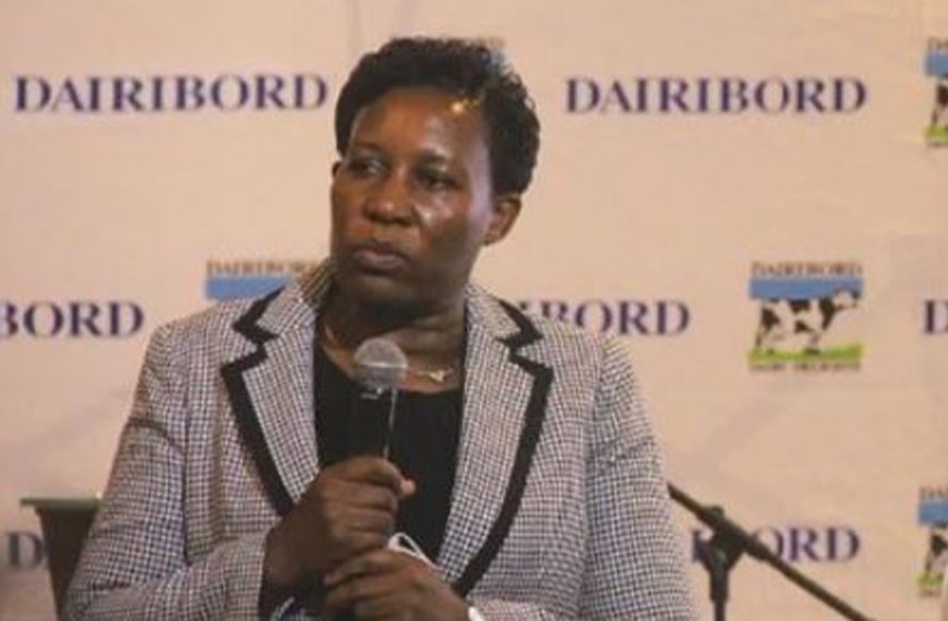 Dairibord Holdings Limited group chief executive officer Mercy Ndoro speaking at the company's event in Harare recently.