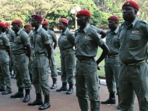 Home 8 Border Gezi youth militia cadets seen in this picture during a national event recently.